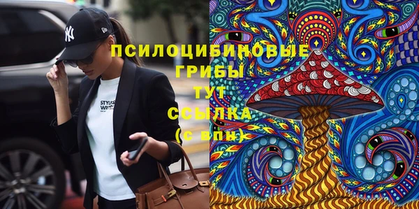 винт Алексеевка